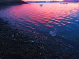 Kálfafellsstaður Guesthouse
