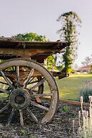 Woodlands of Marburg