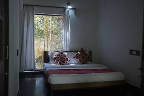 Mahua Tola Tadoba
