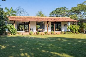Mahua Tola Tadoba