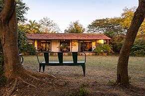 Mahua Tola Tadoba
