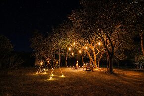 Mahua Tola Tadoba