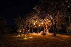 Mahua Tola Tadoba