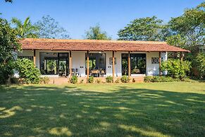 Mahua Tola Tadoba