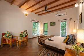 Mahua Tola Tadoba