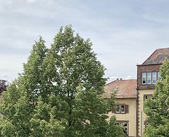 Hotel im Lustgarten