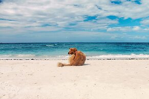 Avila's Horizon Dive Resort