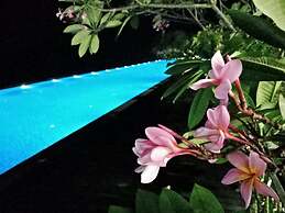 Thermospace Silverscape