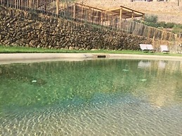 Domaine de la Font des Pères