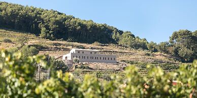 Domaine de la Font des Pères