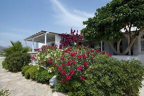 Tatiana Villa & Apartments