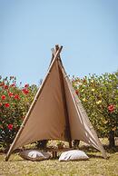 Iphigenia Mythic Retreat