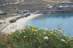 Andromeda Mykonos Villas & Suites