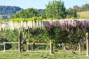 Verdidea - Podere della Bruciata