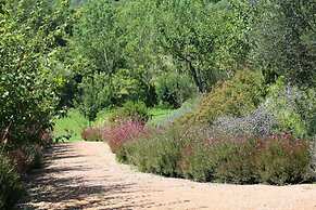 Verdidea - Podere della Bruciata