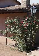 Verdidea - Podere della Bruciata