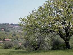 Verdidea - Podere della Bruciata