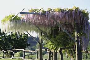 Verdidea - Podere della Bruciata