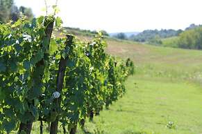 Verdidea - Podere della Bruciata