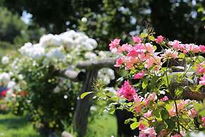 Verdidea - Podere della Bruciata