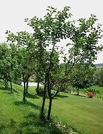 Verdidea - Podere della Bruciata