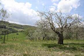 Verdidea - Podere della Bruciata