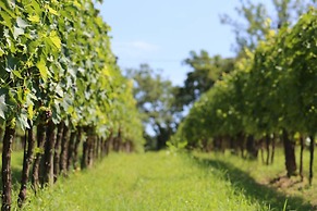 Verdidea - Podere della Bruciata