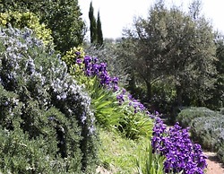 Verdidea - Podere della Bruciata