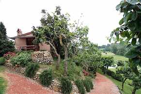 Verdidea - Podere della Bruciata