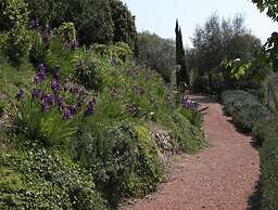 Verdidea - Podere della Bruciata