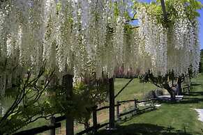 Verdidea - Podere della Bruciata