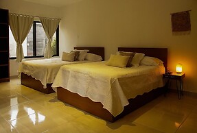 Stay Tropical Downtown Studios