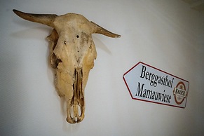 Ferienwohnungen Mamauwiese