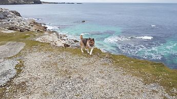 Dunseverick Ramblers Rest