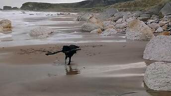 Dunseverick Ramblers Rest