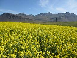 Ártún Apartment - In Hofn