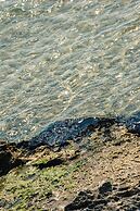 Approdo di Venere