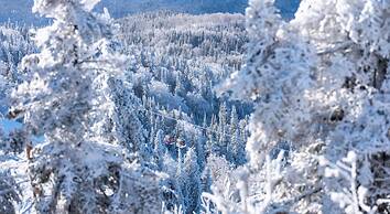 Microtel Inn and Suites by Wyndham Mont Tremblant