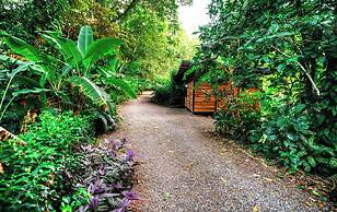 La Shamana Ecological, Concept in the Jungle