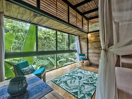 La Shamana Ecological, Concept in the Jungle