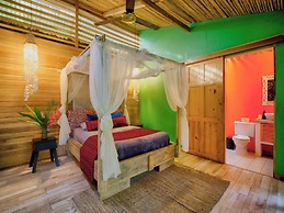 La Shamana Ecological, Concept in the Jungle