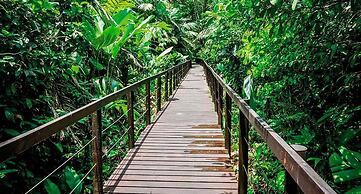 La Shamana Ecological, Concept in the Jungle