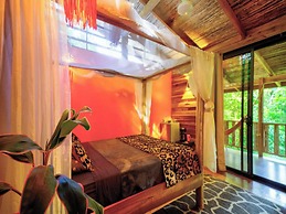 La Shamana Ecological, Concept in the Jungle