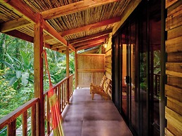 La Shamana Ecological, Concept in the Jungle