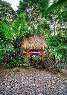 La Shamana Ecological, Concept in the Jungle