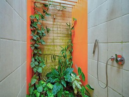 La Shamana Ecological, Concept in the Jungle