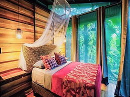 La Shamana Ecological, Concept in the Jungle