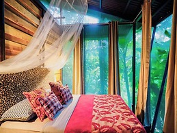 La Shamana Ecological, Concept in the Jungle