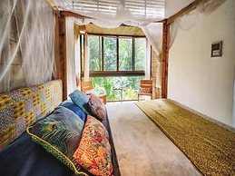 La Shamana Ecological, Concept in the Jungle