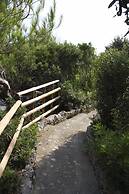 Verdidea - Villa Isola